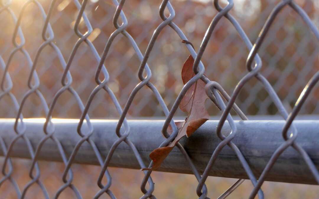 Email Marketing Services for Fence Installers
