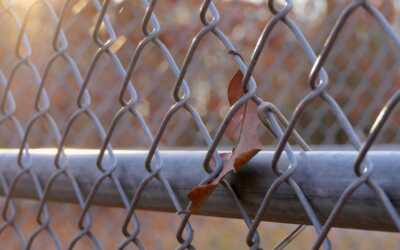Email Marketing Services for Fence Installers